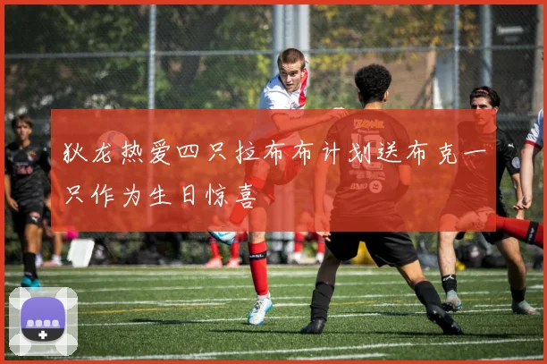 狄龙热爱四只拉布布计划送布克一只作为生日惊喜